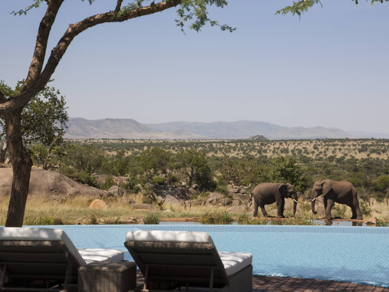 Four Seasons Serengeti