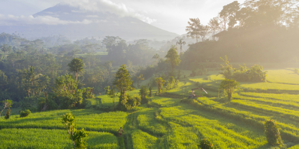 Bali